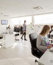 Leforestier David image 4