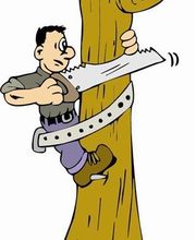 Arbres Verts Outters Outters Xavier image 12