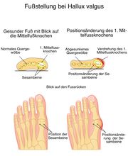 Dr. med. Thomas Hartmann - Arztpraxis für ganzheitliche Medizin Bild 12