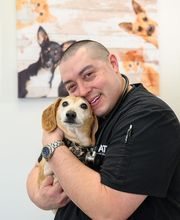 Oath Animal Hospital image 20