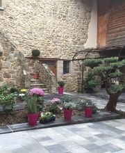 David G Paysagiste image 8