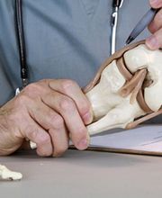 Ortho Multi Concept image 1