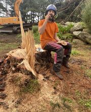 Baron Élagage image 4