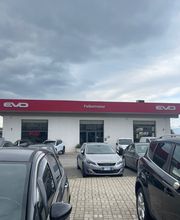 Gallery Cliente