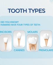 Northwest Dental Health & Aesthetics image 12