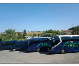autocars-aler-buses-01.jpg
