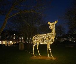 Westerland im Lichterglanz - Stadtpark-