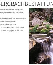 Bestattungsdienst Timon Wälchli GmbH Bild 4