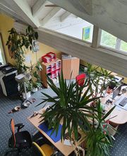 WM Onlinemarketing SEO Agentur & mehr Bild 5