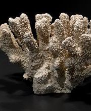 BoConcept Ulm Bild 2