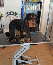 Toilettage Zen image 5