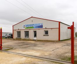 Lucas image 18