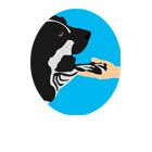 PATTE Z' EN CINQ - AURORE DI FELICE