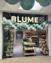 BLUME2000 Darmstadt Bild 2