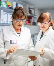 Mitarbeiterinnen besprechen Auswertungen