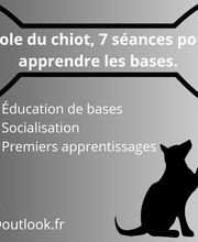 Éduc'Instinct image 14