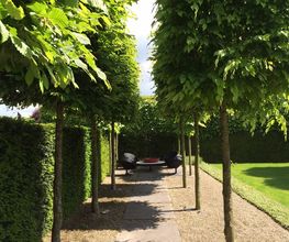Tuinadviesbureau en Hoveniersbedrijf J. Klinkers afbeelding 1