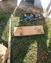 Fleetwood Pest Control image 1