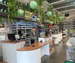 Feu Vert image 2