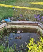 Ferienhäuser - Pension und Events Zur Unterklippe Bild 5