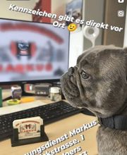 KFZ-Zulassungsdienst Markus Bild 8