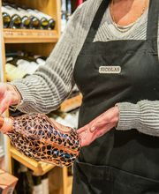 Nicolas Vincennes image 4