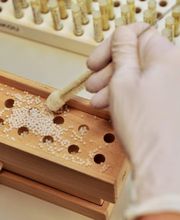 Homöopathie-Abfüllung