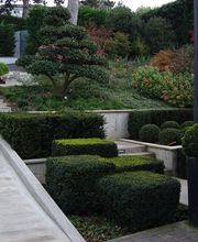 PAYSAGISTE JARDINIER JOVANOVIC Bild 2