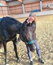 Gesundes Pferd Andrea Möri Bild 2