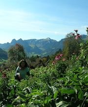 Bed and Breakfast + Hoflädeli Zihlhof Demeter Bild 3