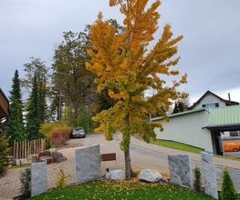 Hadorn Gartenbau Bild 11