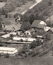 Soller Junghennen AG Bild 13