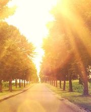 Psychologische Beratung Bild 2