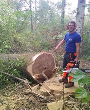 Mortelecque Ludovik image 6