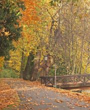 Bestattungsinstitut Rolf Lange Inh. Torsten Lange