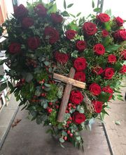 Blumen Kaiser Bild 4