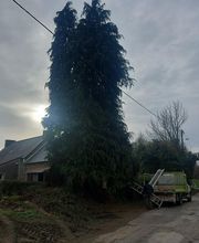 PAUL Elagage image 8