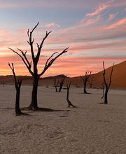 Norma Travels Boutique-Reisen