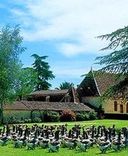 Domaine de Barbe image 7