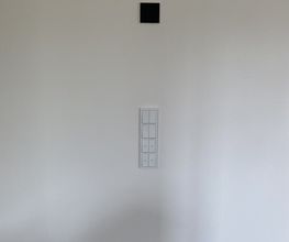 IMG_3301.jpeg