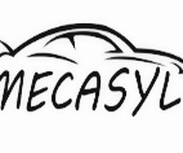 MECASYL image 1