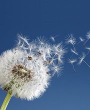 W+L Partner AG Bild 5