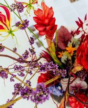 La Flor Studios Bild 7