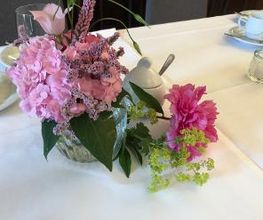 Blumen Meyer Bild 12