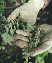 Michael Groß, Bauunternehmung Bild 2