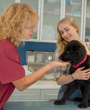 Tierarztpraxis Oppenheim Bild 2