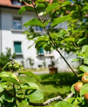 Verein Sterbehospiz Solothurn Bild 8