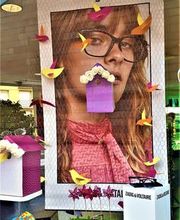 Opticien Krys image 11