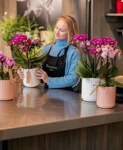 Fleuriot Fleurs, Fleuriste Gare O'Vives Bild 11