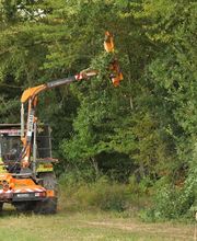 Dupuy Et Fils image 5